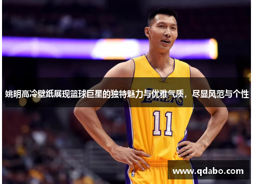 姚明高冷壁纸展现篮球巨星的独特魅力与优雅气质，尽显风范与个性