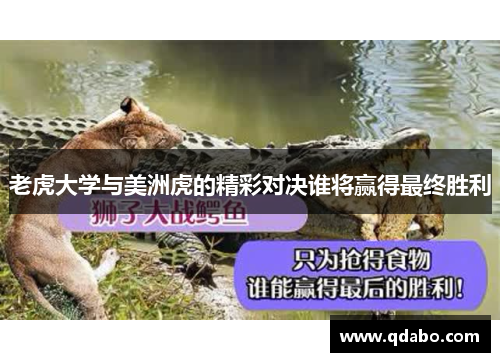 老虎大学与美洲虎的精彩对决谁将赢得最终胜利